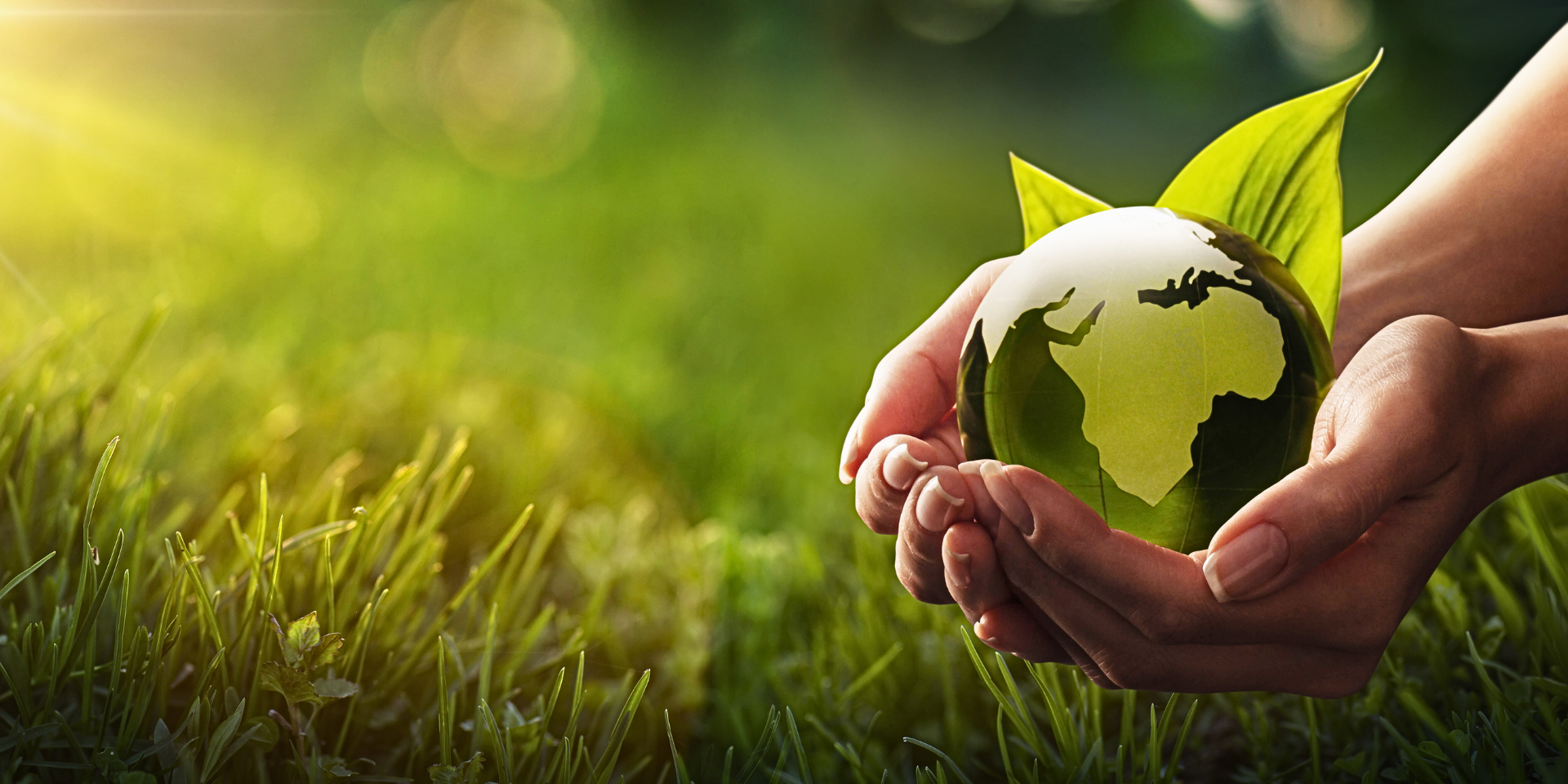 Background is grass and on the right are hands holding the earth