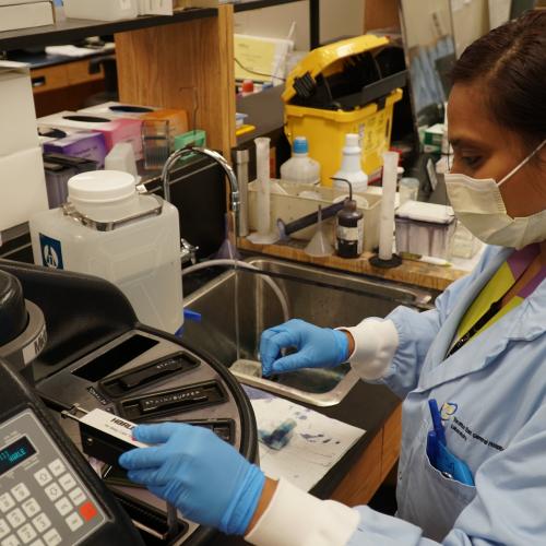 Lisa Mohamed, lab technician at MGH, performs hematology staining, which improves contrast in samples, allowing them to be better seen at the microscopic level.