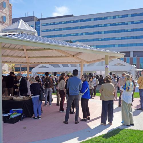 Attendees mingle under the new Gazebo and on the event lawn, enjoying refreshments.