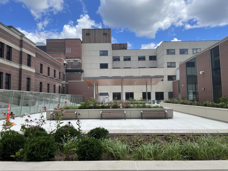 MGH's new public terrace with drought-tolerant plants