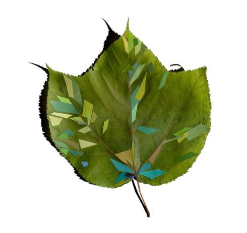 Paper collage creating a leaf portrait, artwork by Jennifer Long